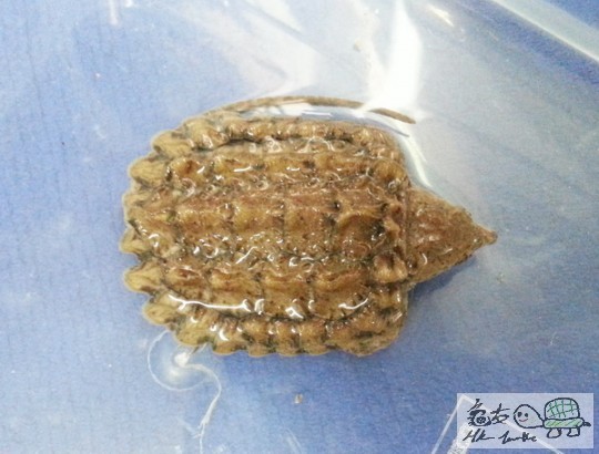 複製 -20141025_132650.jpg