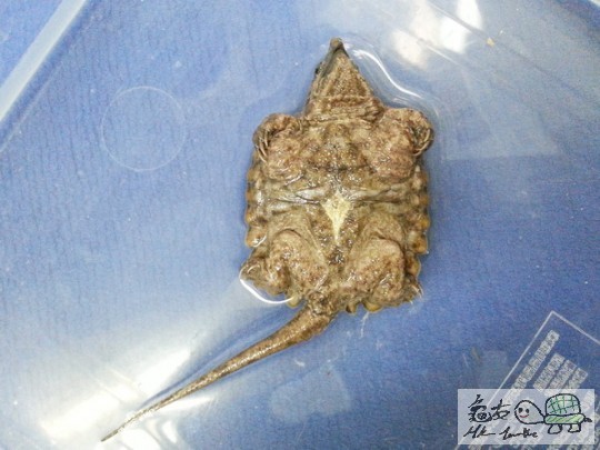 複製 -20141025_132712.jpg