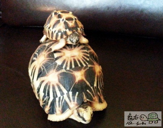 複製 -20141021_154615.jpg