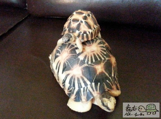 複製 -20141021_154634.jpg