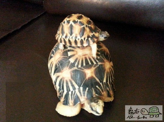 複製 -20141021_154626.jpg