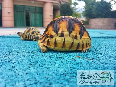 2014-10-30 18.43.24.jpg1.jpg