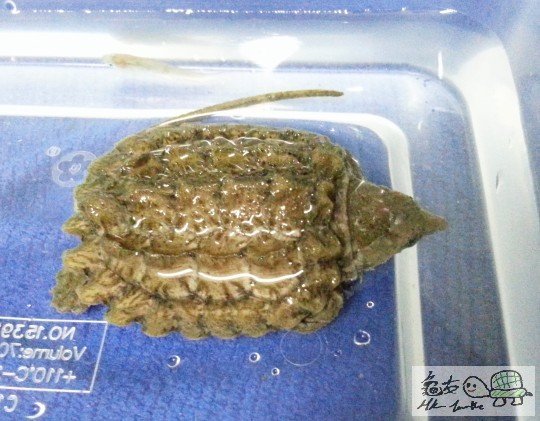 複製 -20141031_002049.jpg