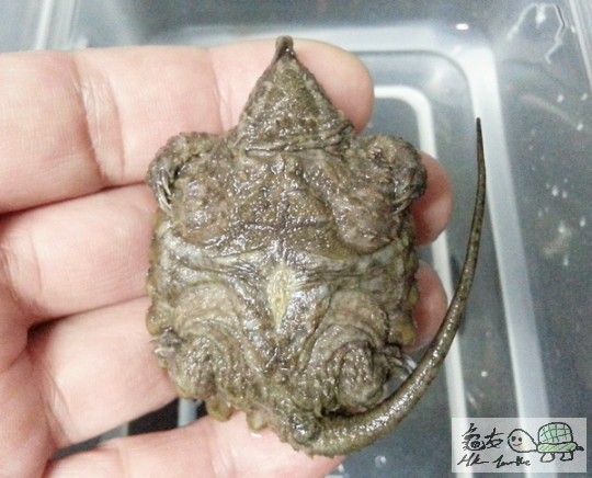 複製 -20141031_001337.jpg