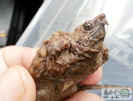 複製 -20141025_132329.jpg