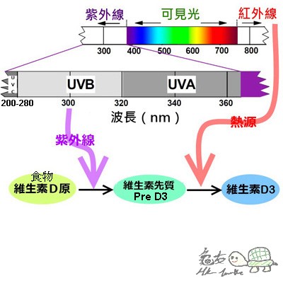 UVB=D3-1.jpg