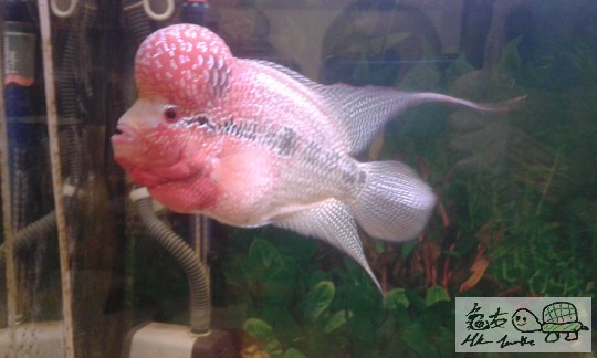 20141110_235104.jpg