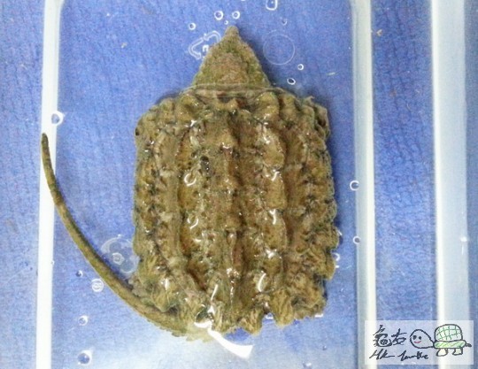 複製 -20141031_002028.jpg