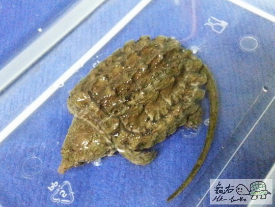 複製 -20141031_002128.jpg