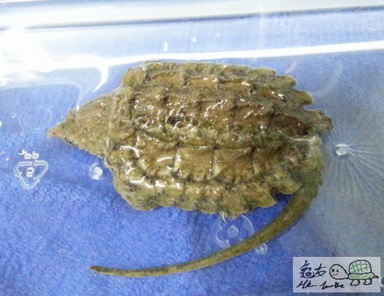 複製 -20141031_002106.jpg