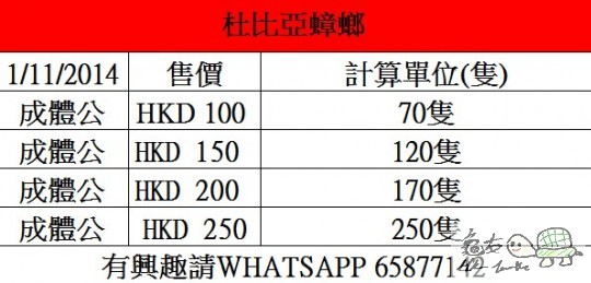 杜比成體公 250.jpg