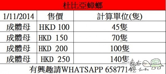 杜比成體母 250.jpg