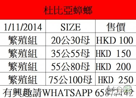 杜比繁殖組 250.jpg