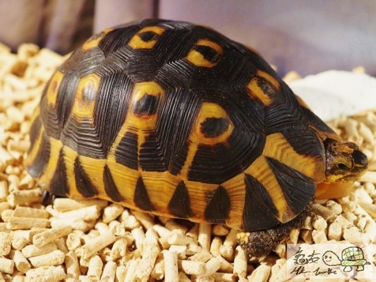 PB091751 (640x480).jpg