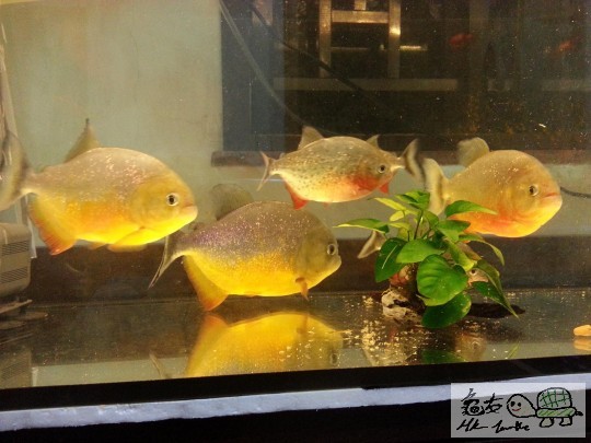 20131101_220818.jpg