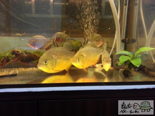20131106_212647.jpg