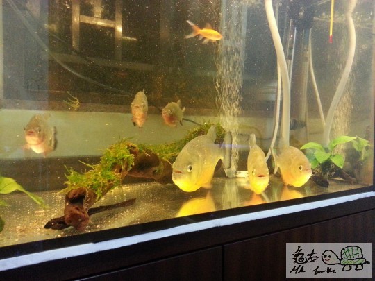 20131106_212659.jpg