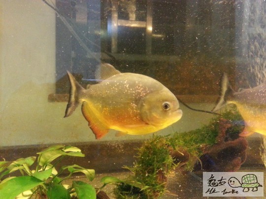 20131114_212127.jpg