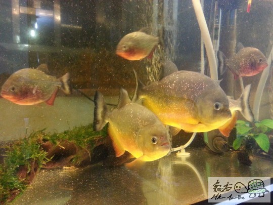 20131114_212129.jpg
