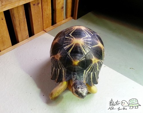 複製 -201411\'\'\'6_130159.jpg