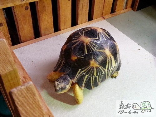 複製 -20141oo126_130408.jpg