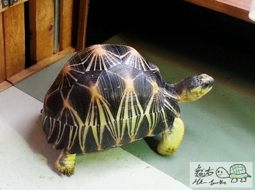 複製 -2014hgf1126_130345.jpg