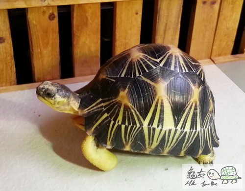 複製 -20141126olo_155240.jpg