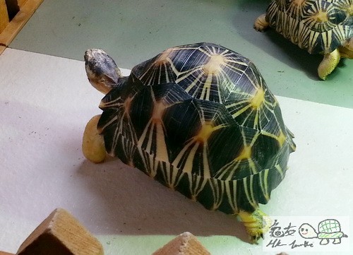 複製 -201411pp26_131048.jpg