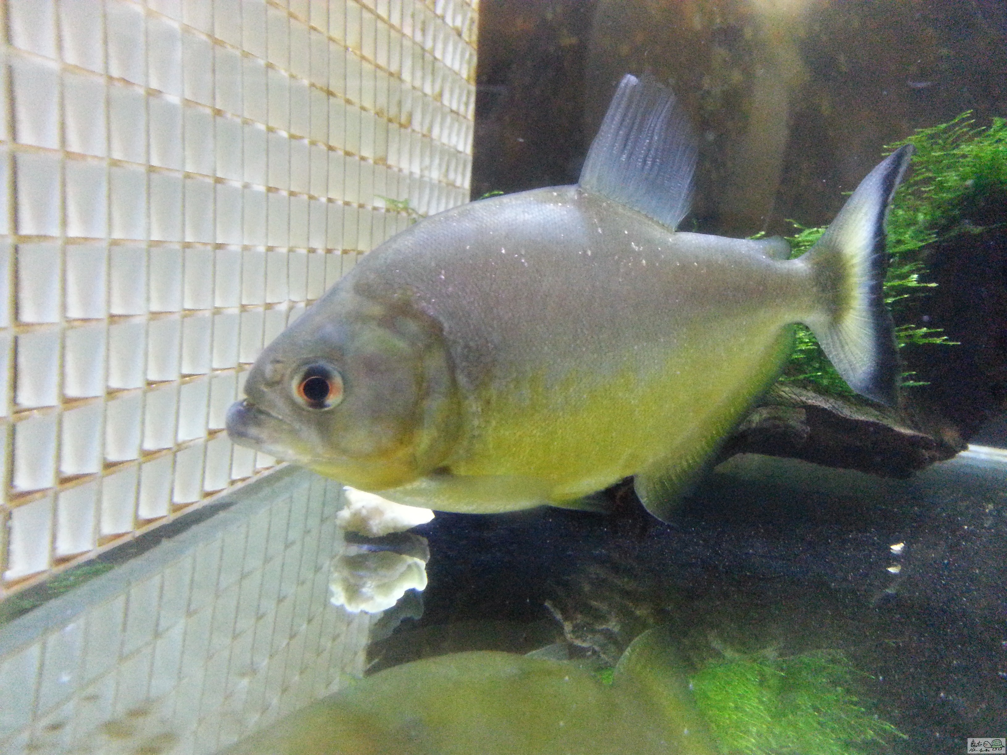 20131114_212008.jpg
