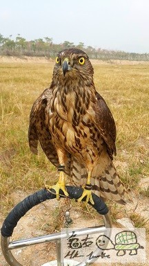 2015-01-26 00.43.00.jpg1.jpg