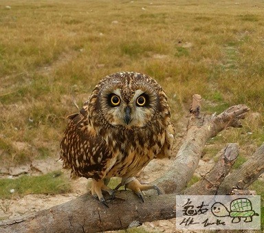 2015-01-26 00.45.38.jpg1.jpg