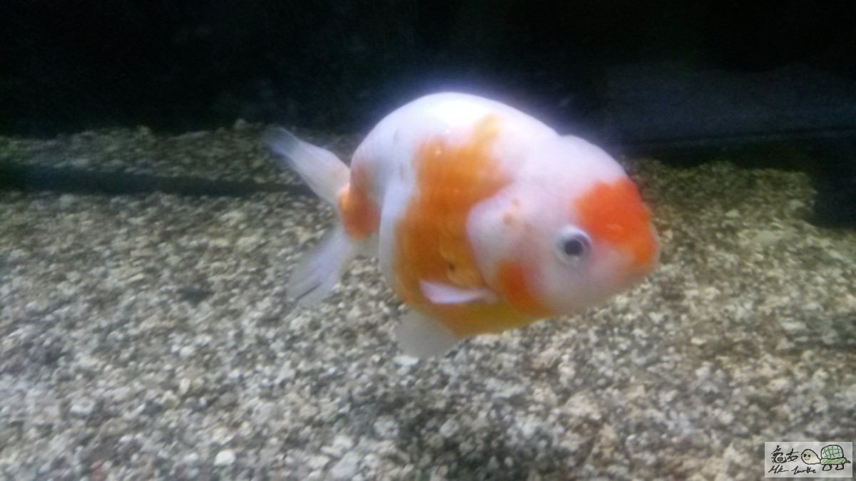20150126_215248.jpg