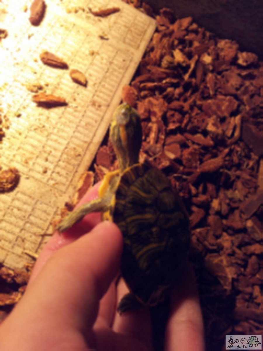 2015-01-27 02.09.05.jpg