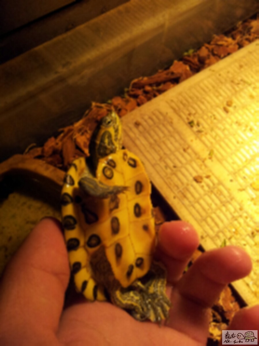 2015-01-27 02.08.37.jpg