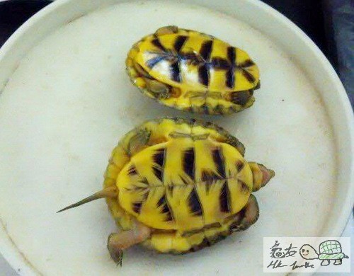 複製 -}N0`O8]U~I~(ZD4Z9UGQV5N.jpg