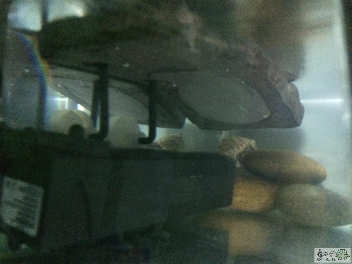 相片 14-3-2015下午9 56 51.jpg