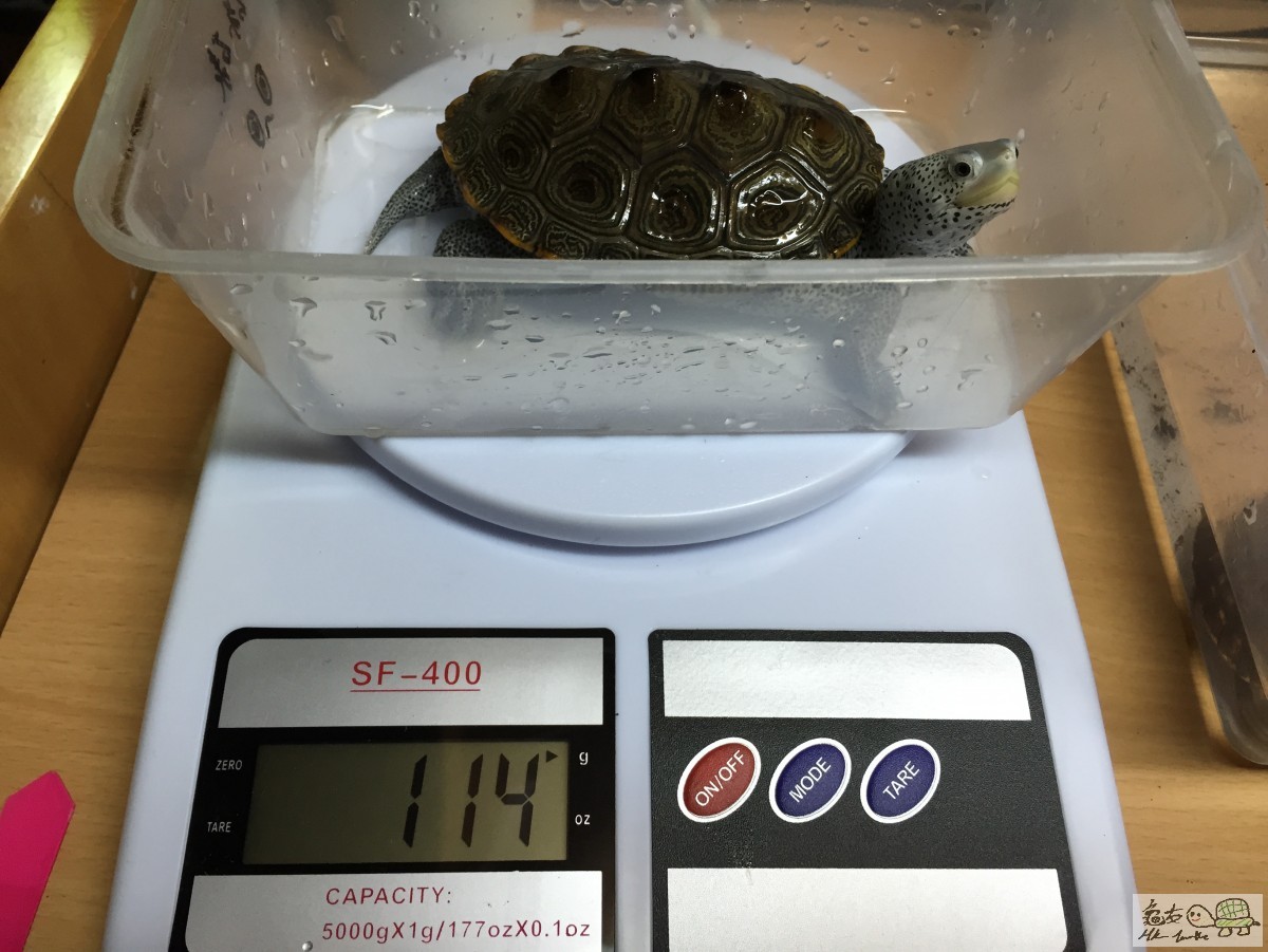 Photo 12-3-15 10 32 20 pm.jpg