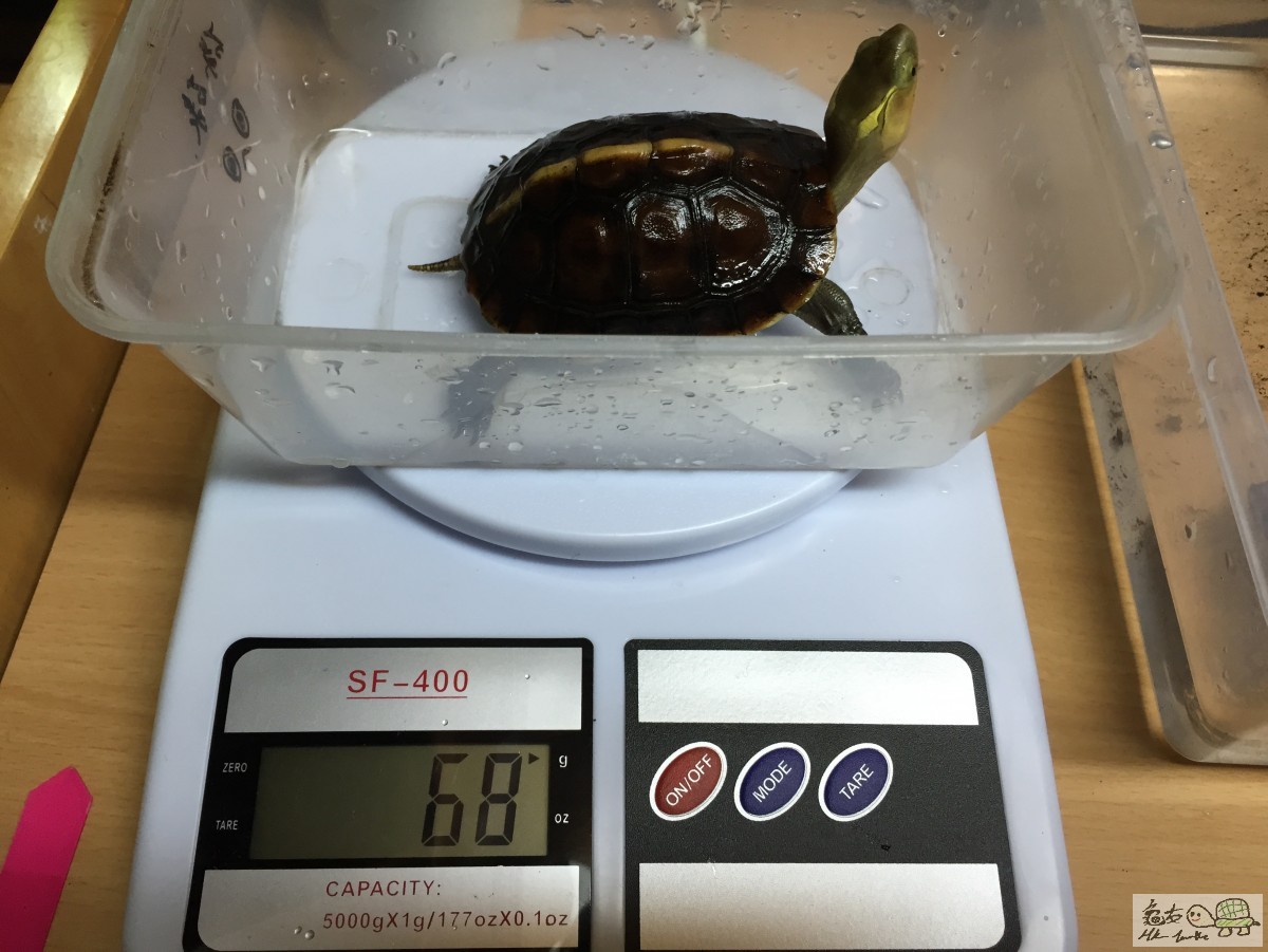 Photo 12-3-15 10 33 59 pm.jpg