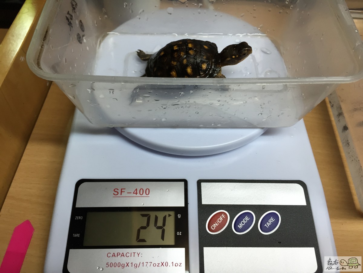 Photo 12-3-15 10 34 12 pm.jpg