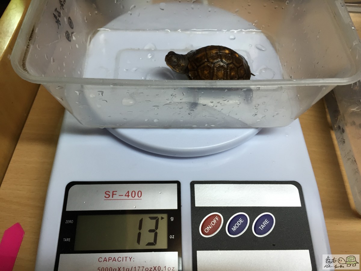 Photo 12-3-15 10 34 27 pm.jpg