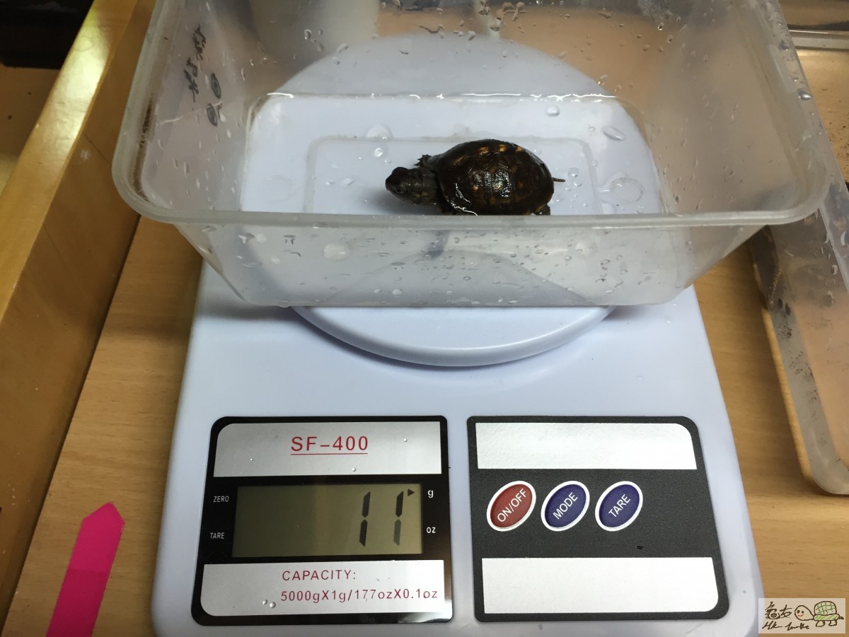 Photo 12-3-15 10 34 37 pm.jpg