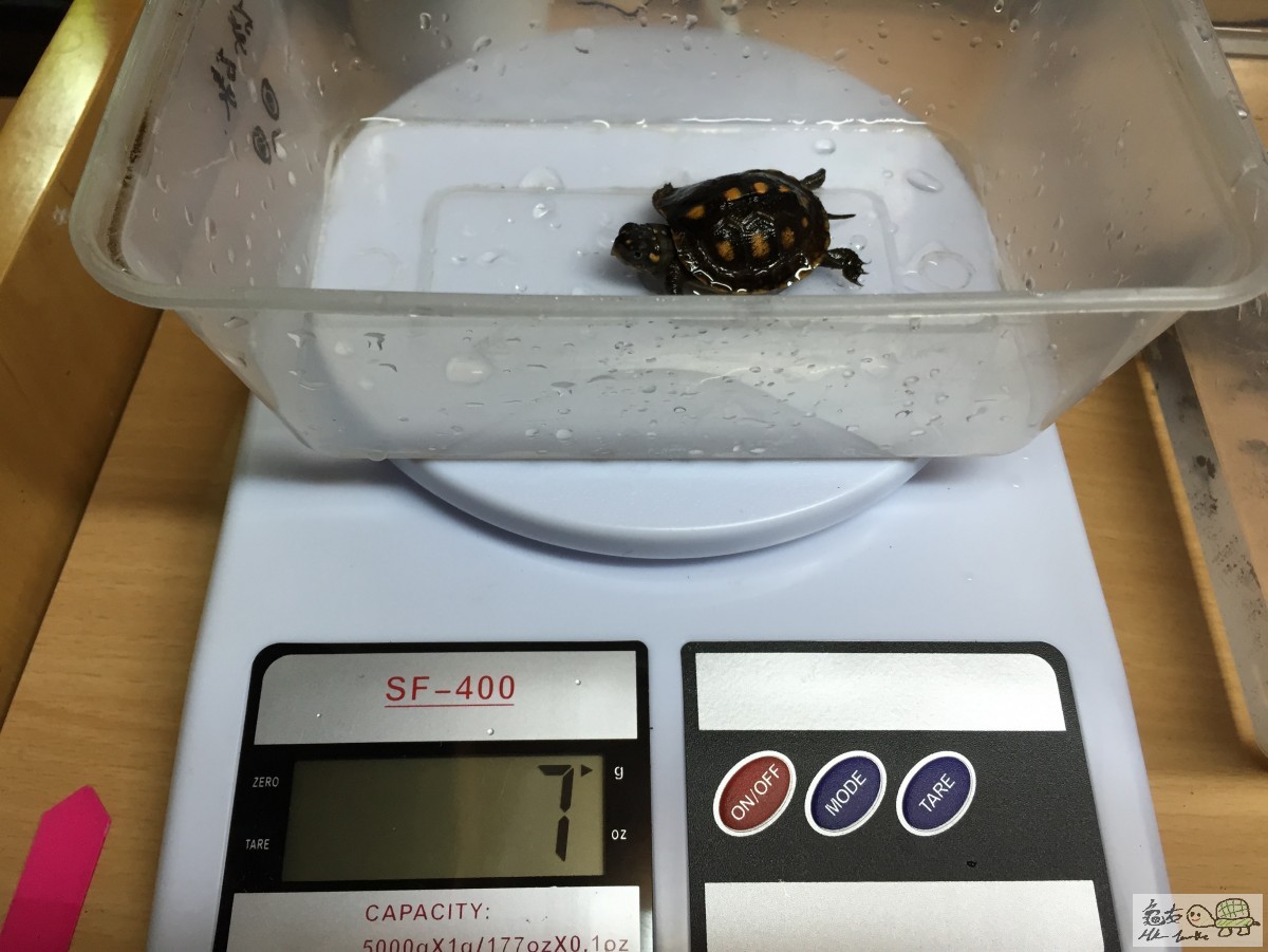 Photo 12-3-15 10 34 55 pm.jpg