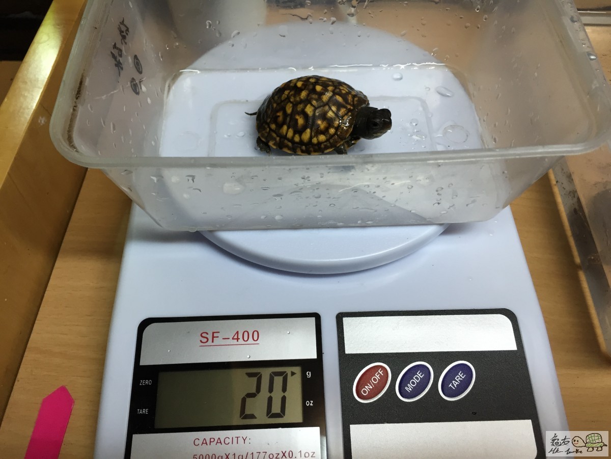 Photo 12-3-15 10 35 05 pm.jpg