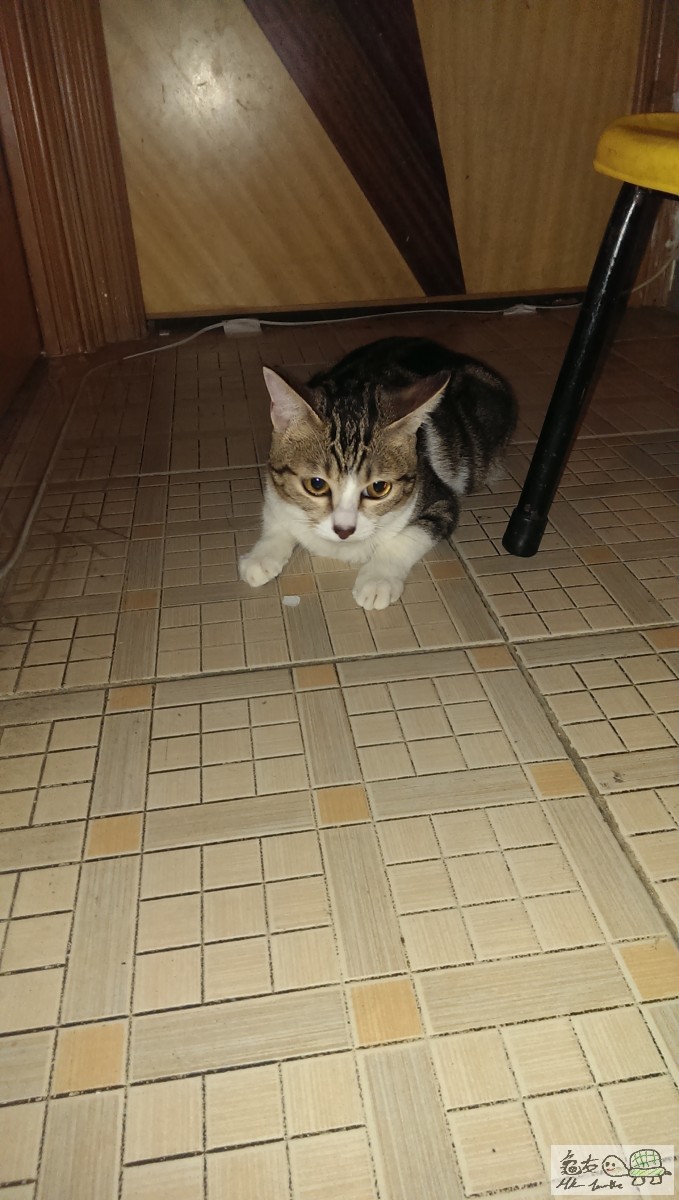 IMAG1978 - 複製.jpg