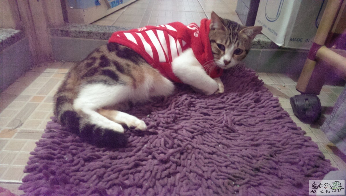 IMAG2291 - 複製.jpg