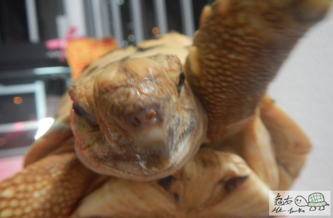 Screen shot 2015-03-26 at 11.11.09 PM.png