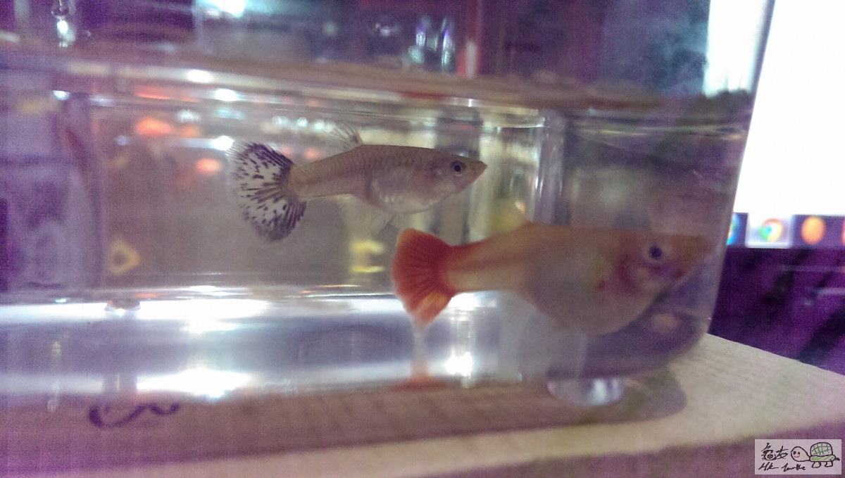 IMAG2618.jpg