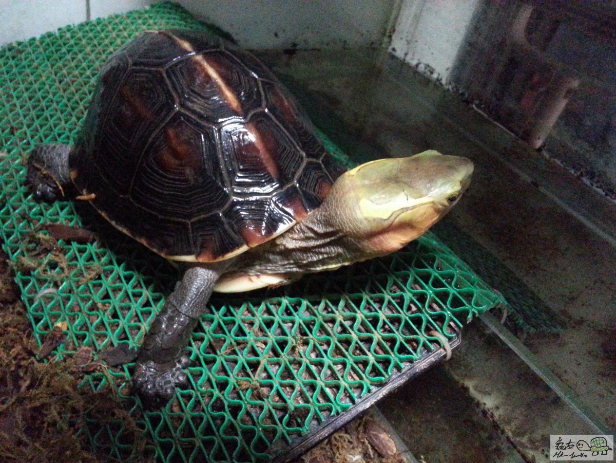 複製 -20150409_182329.jpg