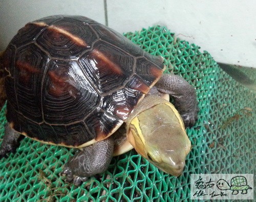 複製 -20150409_182937.jpg