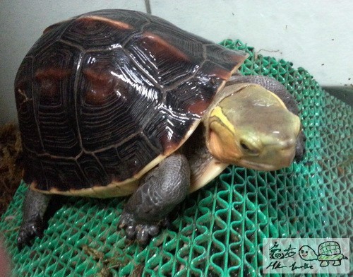 複製 -20150409_182935.jpg